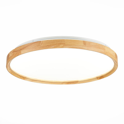 Потолочный светильник Evoluce Delia SLE201382-01 9889₽