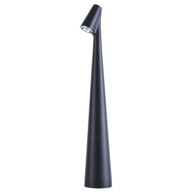Настольная лампа Arte Lamp Fusion A3283LT-2BK 7290₽