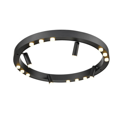 Потолочный светильник Vele Luce Satellite VL7172L12 14392₽