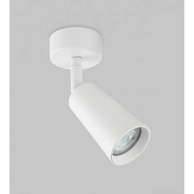 Спот IMEX Dals GU10 IL00054901-WH 890₽