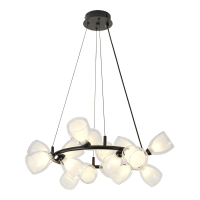 Подвесная люстра Lussole Inglewood LSP-6063 26993₽