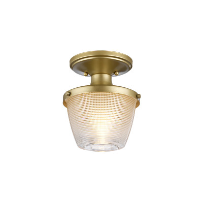 Потолочный светильник Quoizel Dublin QZ-DUBLIN-SF-PNBR