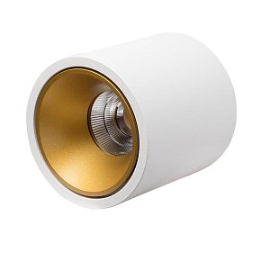 Влагозащищенный светильник LeDron RINBOK White/Gold