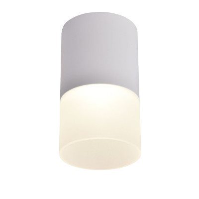 Накладной светильник Favourite Naram 3069-1C 900₽