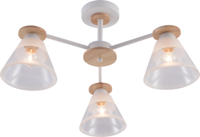 Люстра на штанге Rivoli Theothila 9177-303 Б0068434 3692₽