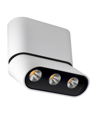 Светодиодный спот Lumien Hall Фергус 80053CS-WT-BK 3160₽