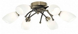 Потолочная люстра Arte Lamp Opal A8186PL-6AB