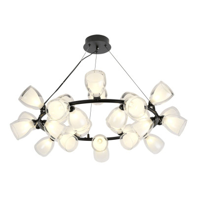 Подвесная люстра Lussole Inglewood LSP-6065 42243₽