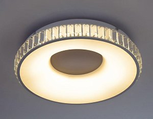 Потолочный светодиодный светильник Escada 10214/1LED