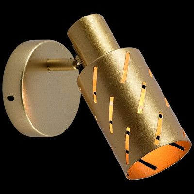 Спот Reluce 05970-08-01 GOLD 910₽