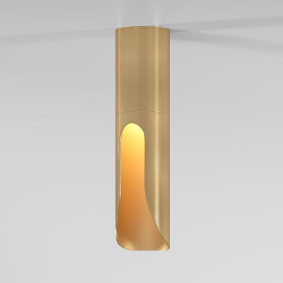 Накладной светильник Elektrostandard Apex 25113LED 4690389208829 a068291 1450₽