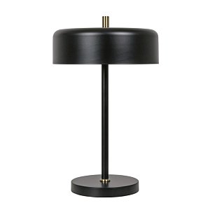 Настольная лампа Arte Lamp Skat A7052LT-2BK