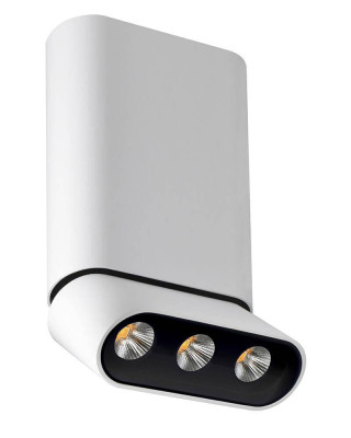 Светодиодный спот Lumien Hall Фергус 80053CM-WT-BK 3350₽