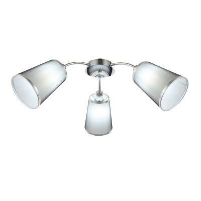 Потолочная люстра EVOLUCE MALEONTE SLE103002-03 1780₽