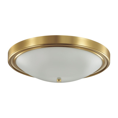 Настенно-потолочный светильник Lumion Vintage 52594C 8285₽