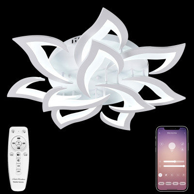 Потолочная люстра Natali Kovaltseva Olimp LED LAMPS 81224 7881₽