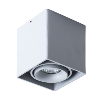 Потолочный светильник Arte Lamp Pictor A5654PL-1GY 560₽