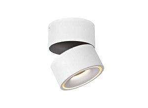 Накладной светильник Donolux DL18617/01WW-R White DIM