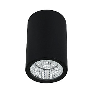 Уличный потолочный светильник Arte Lamp Torcular A1807PF-1BK