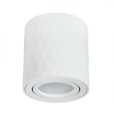 Накладной светильник Arte Lamp Fang A5559PL-1WH 420₽