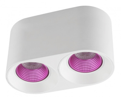 Накладной светильник Denkirs DK3096-WHPI 1413₽