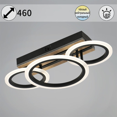 Потолочный светильник Reluce 00330-03-21 3580₽