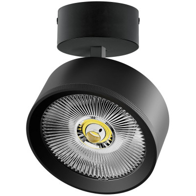 Накладной светильник Alta Pro Lightstar A5747SO 8697₽