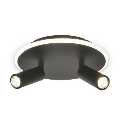 Настенно-потолочный светильник Escada 20046SMA02LED BK 5930₽